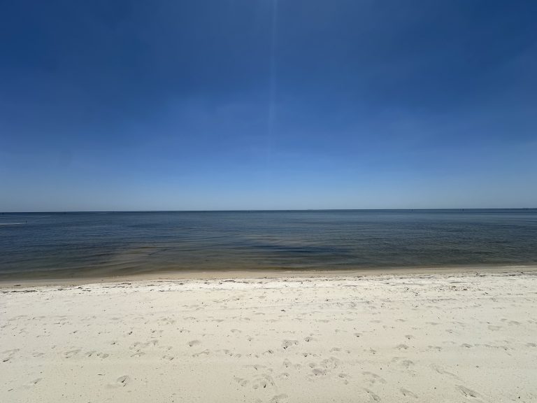 img_5244.jpg